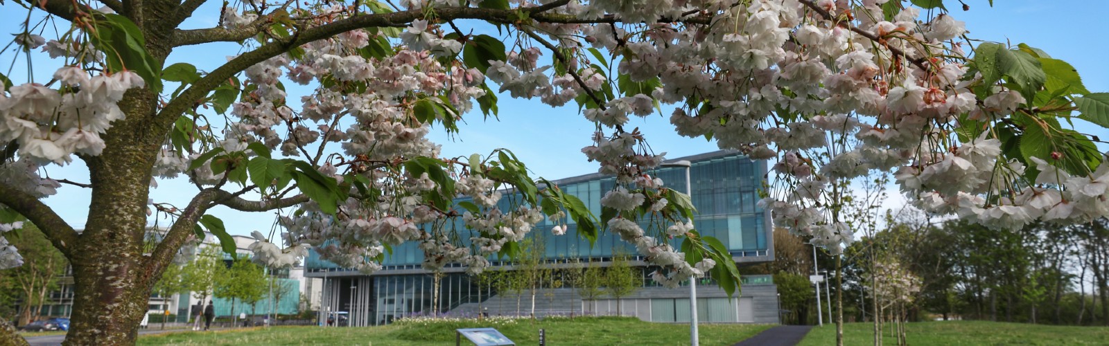 School of Engineering, University of Galway